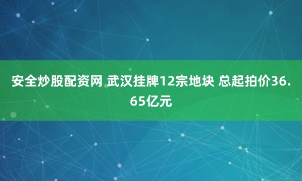 安全炒股配资网 武汉挂牌12宗地块 总起拍价36.65亿元